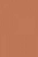 FARROW AND BALL BOOK ROOM RED NO. 50 PAINT